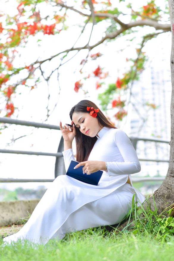 Chụp ảnh áo dài hoa phượng