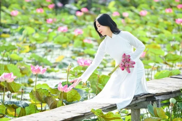 Chụp ảnh áo dài hoa sen