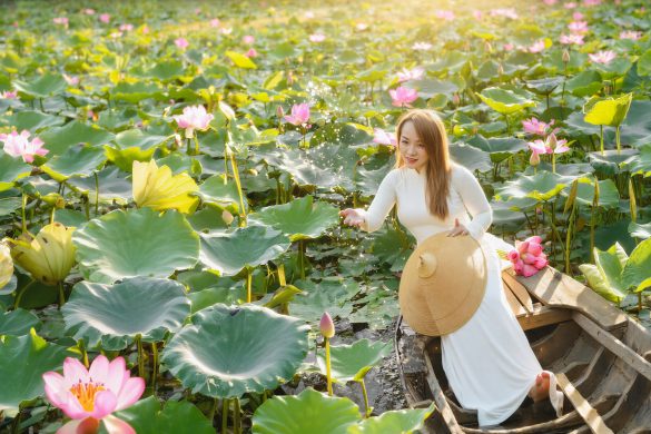 Anh ao dai hoa sen (7) Anh ao dai hoa sen 7