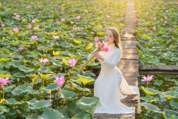 Anh ao dai hoa sen (9) Anh ao dai hoa sen 9